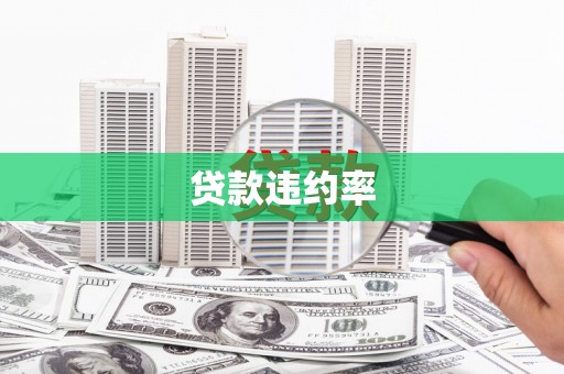 鹿城贷款违约率
