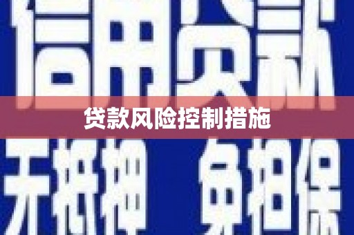 鹿城贷款风险控制措施
