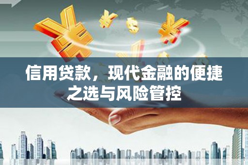 鹿城信用贷款，现代金融的便捷之选与风险管控