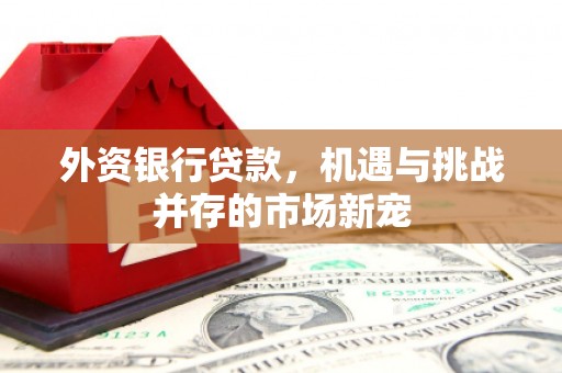 鹿城外资银行贷款，机遇与挑战并存的市场新宠