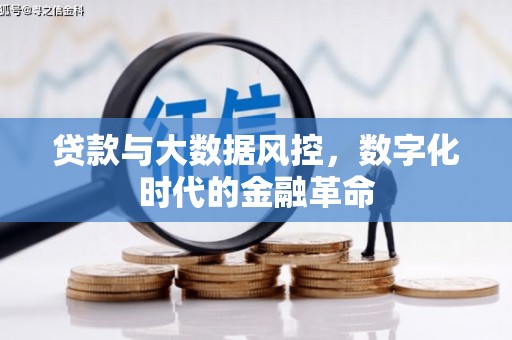 鹿城贷款与大数据风控，数字化时代的金融革命