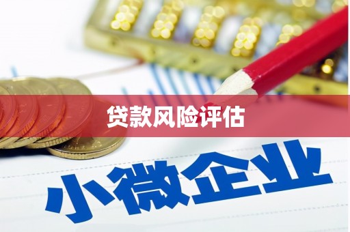 鹿城贷款风险评估