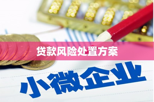 鹿城贷款风险处置方案