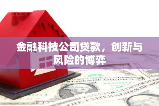 鹿城金融科技公司贷款，创新与风险的博弈