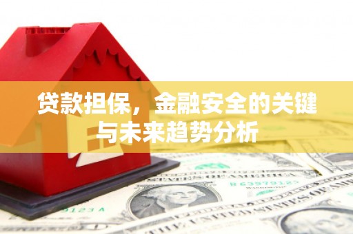 鹿城贷款担保，金融安全的关键与未来趋势分析
