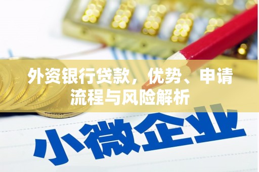 鹿城外资银行贷款，优势、申请流程与风险解析