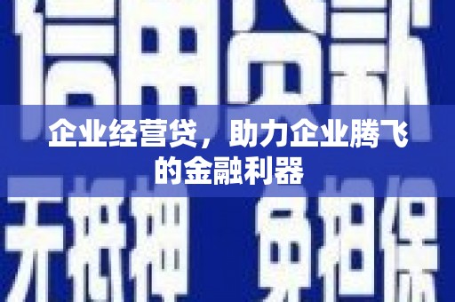 鹿城企业经营贷，助力企业腾飞的金融利器
