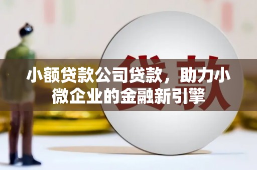 鹿城小额贷款公司贷款，助力小微企业的金融新引擎