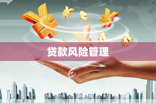 鹿城贷款风险管理