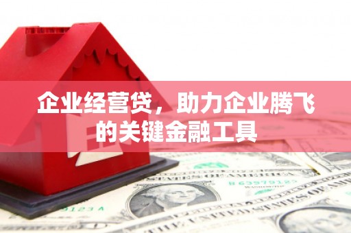 鹿城企业经营贷，助力企业腾飞的关键金融工具