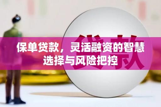 鹿城保单贷款，灵活融资的智慧选择与风险把控