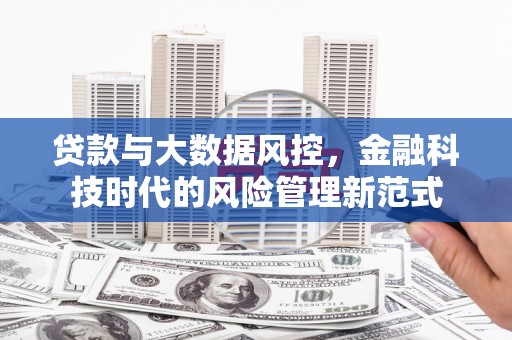 鹿城贷款与大数据风控，金融科技时代的风险管理新范式