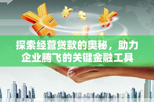 鹿城探索经营贷款的奥秘，助力企业腾飞的关键金融工具
