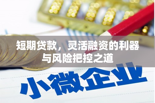 鹿城短期贷款，灵活融资的利器与风险把控之道
