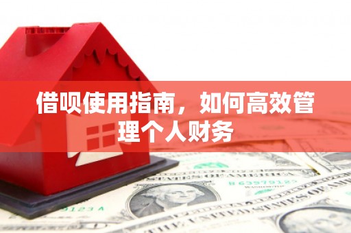 鹿城借呗使用指南，如何高效管理个人财务