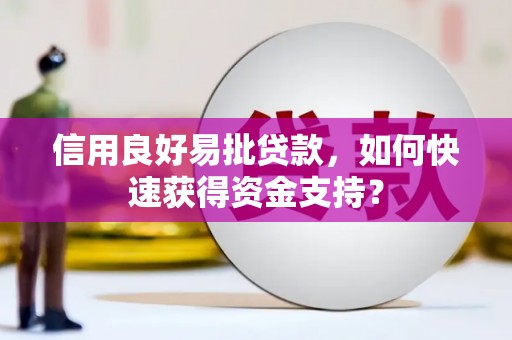 鹿城信用良好易批贷款，如何快速获得资金支持？