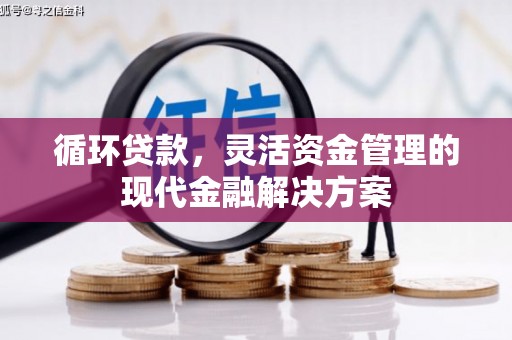 鹿城循环贷款，灵活资金管理的现代金融解决方案