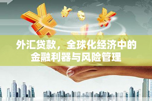 鹿城外汇贷款，全球化经济中的金融利器与风险管理