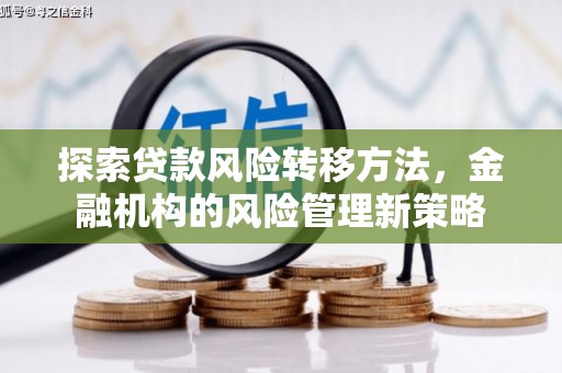 鹿城探索贷款风险转移方法，金融机构的风险管理新策略