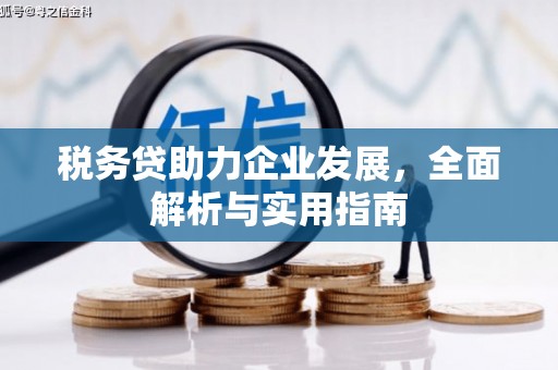 鹿城税务贷助力企业发展，全面解析与实用指南