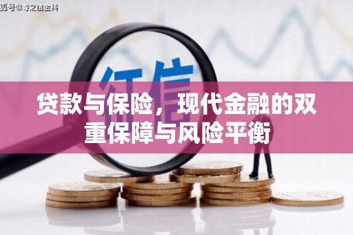 鹿城贷款与保险，现代金融的双重保障与风险平衡
