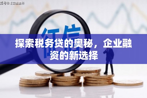 鹿城探索税务贷的奥秘，企业融资的新选择