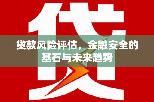 鹿城贷款风险评估，金融安全的基石与未来趋势