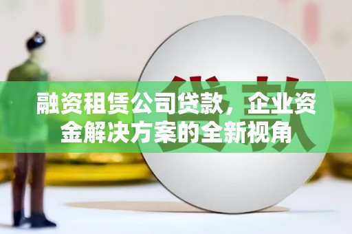 鹿城融资租赁公司贷款，企业资金解决方案的全新视角
