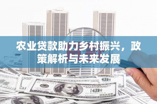 鹿城农业贷款助力乡村振兴，政策解析与未来发展