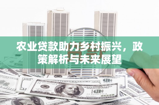 鹿城农业贷款助力乡村振兴，政策解析与未来展望