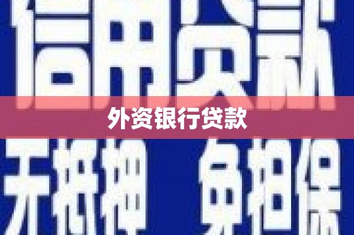 鹿城外资银行贷款
