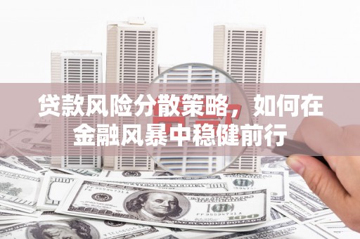 鹿城贷款风险分散策略，如何在金融风暴中稳健前行