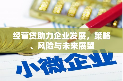 鹿城经营贷助力企业发展，策略、风险与未来展望