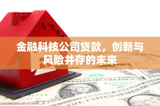 鹿城金融科技公司贷款，创新与风险并存的未来