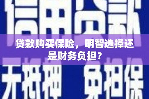 鹿城贷款购买保险，明智选择还是财务负担？