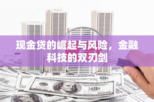 鹿城现金贷的崛起与风险，金融科技的双刃剑