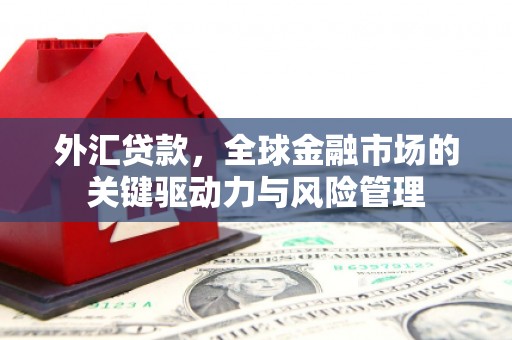 鹿城外汇贷款，全球金融市场的关键驱动力与风险管理