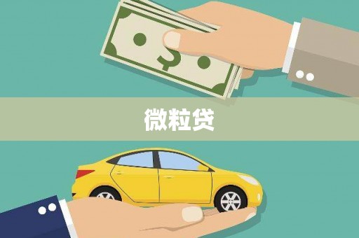 鹿城微粒贷