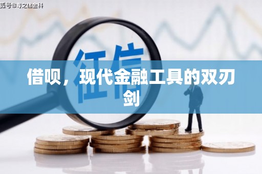鹿城借呗，现代金融工具的双刃剑