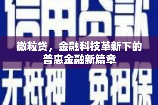 鹿城微粒贷，金融科技革新下的普惠金融新篇章