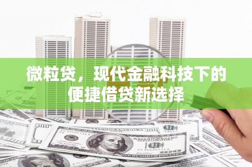 鹿城微粒贷，现代金融科技下的便捷借贷新选择