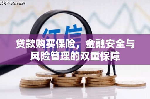 鹿城贷款购买保险，金融安全与风险管理的双重保障