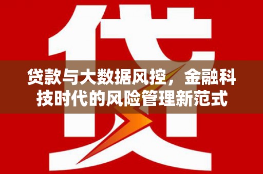 鹿城贷款与大数据风控，金融科技时代的风险管理新范式