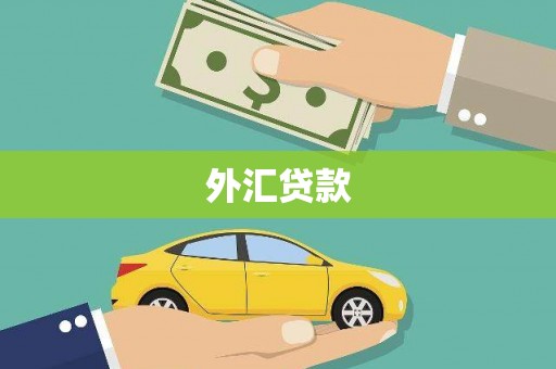 鹿城外汇贷款