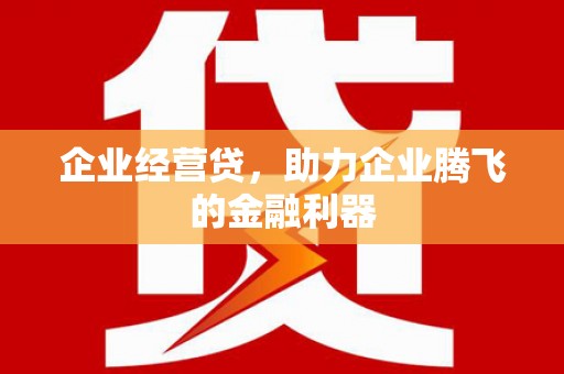 鹿城企业经营贷，助力企业腾飞的金融利器