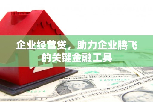 鹿城企业经营贷，助力企业腾飞的关键金融工具