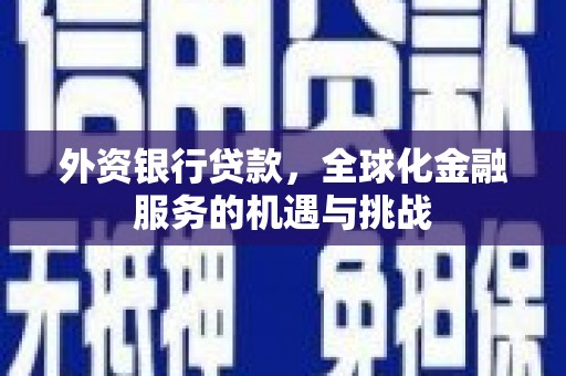 鹿城外资银行贷款，全球化金融服务的机遇与挑战