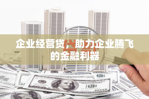 鹿城企业经营贷，助力企业腾飞的金融利器