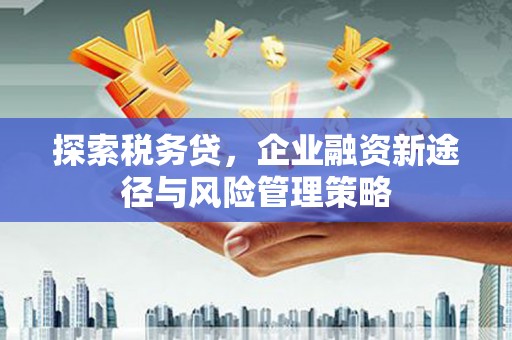 鹿城探索税务贷，企业融资新途径与风险管理策略