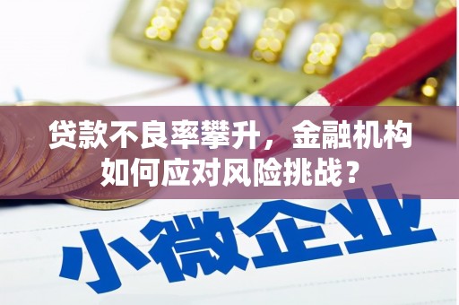 鹿城贷款不良率攀升，金融机构如何应对风险挑战？